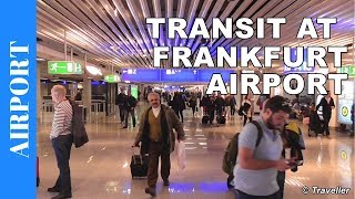 TRANSIT WALK AT FRANKFURT Airport FRA Terminal 1  Connection Flight Transfer Arriving amp Departing [upl. by Marline72]